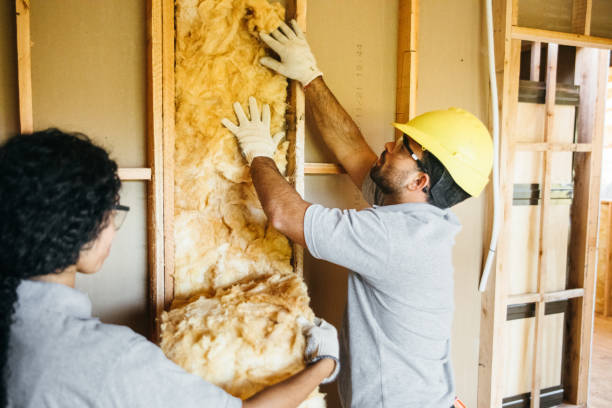 Best Soundproof Insulation Installation  in Crest Hl, IL